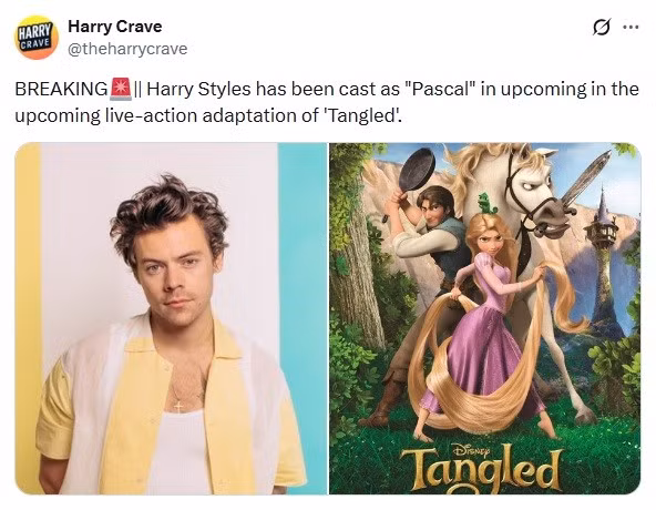 tangled-35.jpg