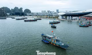 Quảng Ninh đưa trí tuệ nhân tạo AI vào quản lý du lịch