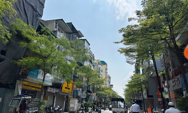 Thời tiết miền Bắc những ngày tới