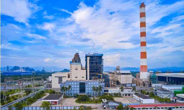 Tới lượt Tổng giám đốc Nhiệt điện Hải Phòng bị khởi tố: Vốn hóa hơn 5.200 tỷ, nhiều ngày sụt giảm