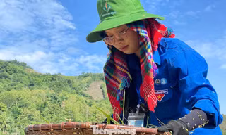 Hè tình nguyện đầy ý nghĩa vì cộng đồng 