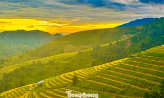 Rực rỡ, bát ngát ruộng bậc thang ở Xím Vàng