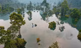 Phong Nha - Kẻ Bàng mong muốn trở thành Khu dự trữ sinh quyển thế giới 