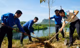 Trồng 6.300 cây xanh chống sạt lở, tạo cảnh quan tại các đền tưởng niệm liệt sĩ ở Quảng Bình