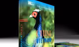 Cuốn "Chim Việt Nam" bị thu hồi và tiêu hủy vì vi phạm bản quyền ảnh