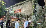 Người Sài Gòn hào hứng đi Hội hoa xuân