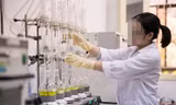 Thấy gì qua bảng xếp hạng nhà khoa học nổi tiếng thế giới?