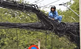 Dây điện, cáp viễn thông như mạng nhện trên đường ở TPHCM