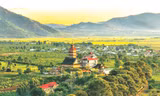 Đất trời 'hội tụ' bên đồi chè cổ thụ 