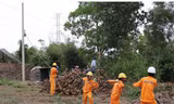 Loại gần 500 dự án thủy điện nhỏ khỏi quy hoạch