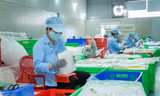 Đòn bẩy cho một Việt Nam thịnh vượng - bài 3: Phá 'cục máu đông' để cất cánh 