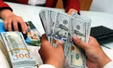 Tỷ giá USD 'loạn nhịp' - Có đáng lo?