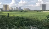 Khu đất Dự án Xây dựng Bệnh viện đa khoa Quang Trung ở Hoàng Mai do Công ty Cổ phần bệnh viện đa khoa Quang Trung làm chủ đầu tư "đắp chiếu" cả thập kỷ chính thức bị thu hồi.
