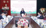 Hà Nội: Chưa thực hiện xong kết luận thanh tra về Công viên Tuổi trẻ
