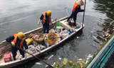 Hà Nội nêu biện pháp lâu dài khắc phục hiện tượng cá chết ở hồ Tây
