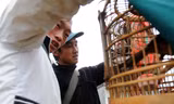 Phiên chợ chim độc đáo ở Bắc Hà