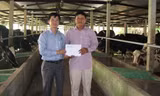 Vinamilk chăm lo Tết cho bà con chăn nuôi bò sữa 