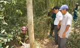 Một người thiệt mạng vì cưa đạn cối