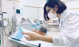 Trong dịch COVID-19, Vân Anh là cộng sự đắc lực của GS Trần Ngọc Phúc trong hành trình mang máy thở MV20 về Việt Nam