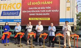 Tiền Giang lần đầu xuất khẩu dừa tươi sang Trung Quốc