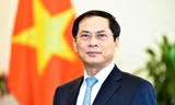 Phó Thủ tướng, Bộ trưởng Ngoại giao Bùi Thanh Sơn