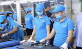 Ngày 28/10, các bộ ngành, cơ quan chức năng thảo luận về các dấu hiệu sai phạm như lừa dối người tiêu dùng, trốn thuế, giả mạo nhãn hiệu, xuất xứ hàng hóa của Asanzo