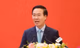 Quy định về quyền hạn, tổ chức bộ máy Ban Chỉ đạo phòng, chống tham nhũng, tiêu cực cấp tỉnh 