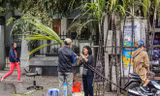 30 Tết, mía lộc xuống phố Hà Nội chờ đón giao thừa