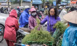 Người dân Thủ đô 'săn' mùi già để tắm Tất niên