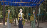 Tour tham quan địa đạo Củ Chi về đêm chính thức hoạt động