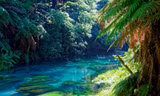 New Zealand thuộc châu lục nào?