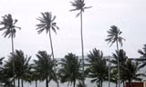Một bức ảnh chụp khu vực cảng Ream từ năm 2019. (Ảnh: Reuters)