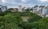 Cỏ hoang um tùm trên đất 'kim cương' nghìn tỷ giữa trung tâm TPHCM 