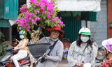 TPHCM và Nam bộ đón năm mới trong thời tiết thuận lợi