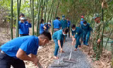 Dấu ấn của tuổi trẻ ĐBSCL trong ngày đầu Tháng thanh niên 2021