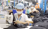 Người rút bảo hiểm xã hội một lần tăng mạnh