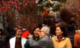 Tết Việt