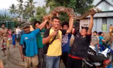 Nguồn: Detik.com.