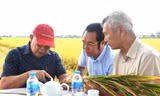 GS Võ Tòng Xuân (ngoài cùng bên trái) trò chuyện cùng nông dân, doanh nghiệp trong lần đi thăm đồng. Ảnh: H. VŨ