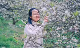Mê mẩn mùa hoa mận nở trắng trời Mộc Châu