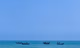 Mùa ốc gạo ở ven biển Quảng Ngãi kéo dài từ tháng Giêng đến hết tháng 3 Âm lịch. Ảnh: Nguyễn Ngọc