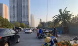 Tiểu thương lo mất Tết, lập chợ cóc tại công viên Hà Đông
