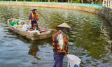 Hồ Tây ô nhiễm từng ngày, dự án nạo vét trăm tỷ 'nằm im' trên giấy suốt 6 năm