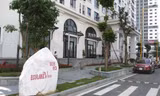 Đấu giá trực tuyến 82 căn chung cư dự án Eco Lakeview