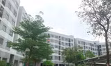 Hà Nội mở bán hơn trăm căn nhà ở xã hội với giá từ 13,7 triệu đồng/m2