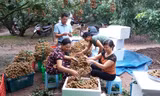 Tạo nhiều việc làm cho lao động nữ, thúc đẩy bình đẳng giới