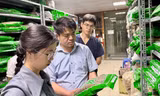 Bộ Y tế thành lập 15 tổ kiểm tra thuốc, mĩ phẩm, thực phẩm chức năng