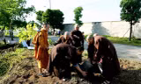 TPHCM: Nhiều cơ sở Phật giáo nói không với túi nilong, đốt vàng mã