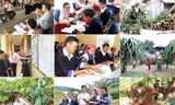 Nhiệm vụ, cơ cấu tổ chức của Ủy ban Dân tộc