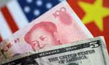 NDT quý trước tăng giá 0,8% so với USD. Ảnh: Reuters